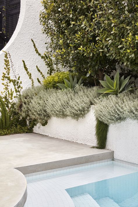 Modern swimming pool design with raised planter boxes Palm Springs Garden, Flack Studio, Modern Coastal Home, Brighton Houses, Coastal Gardens, Landscape Materials, The Local Project, Swimming Pool Designs, Pool Tile