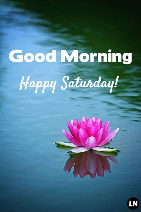 Happy Saturday Images Beautiful, Saturday Morning Inspirational Quotes, Good Morning New Images, Good Morning Saturday Quotes, Saturday Morning Images, Coffee Saturday, Good Morning Saturday Wishes, Saturday Good Morning, Happy Saturday Pictures