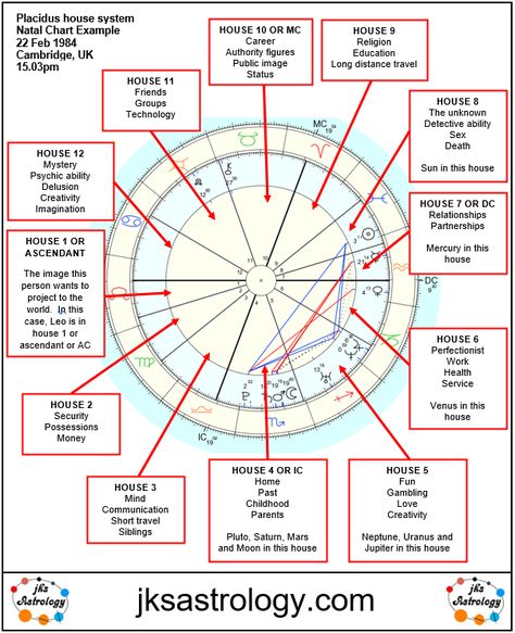 Astrology natal chart house layout explained Astrology Circle Chart, Natal Chart Symbols, My Astrology Chart, Understanding Birth Chart, Natal Charts Explained, Houses In Natal Chart, Astrology Houses Charts, True Node Astrology, Birth Chart Astrology Houses