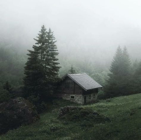 The Inmate Book Aesthetic, House Forest Aesthetic, Cabin In The Woods Aesthetic Dark, House In Forest Aesthetic, Old Cottage Aesthetic, Cottage In The Woods Aesthetic, Cabin In The Woods Aesthetic, Cottage Gore, Cottage Dark