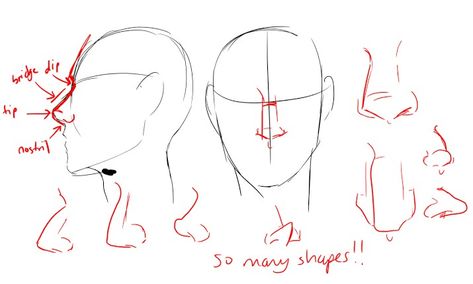 Pointed Ears Drawing Reference, Pointy Nose Front View, How To Draw Hooked Nose, Hook Nose Reference, How To Draw Noses Front View, Pointed Ears Drawing, Hook Nose Front View, Hook Nose Drawing, Hooked Nose Drawing Reference