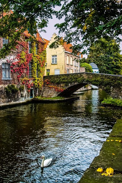 Europe Aesthetic, Bruges Belgium, Belgium Travel, Europe Summer, Future Travel, Pretty Places, Travel Aesthetic, Dream Vacations, Travel Dreams