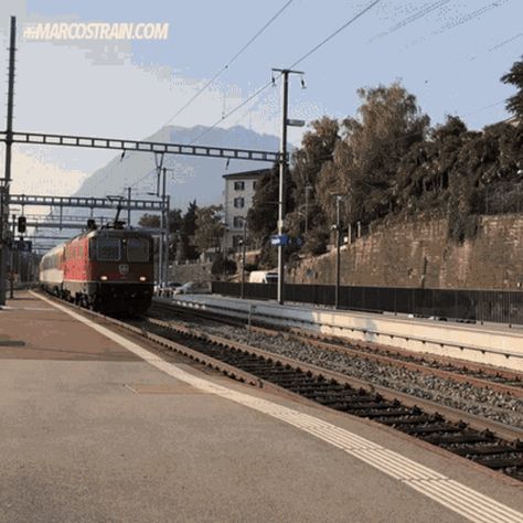 Train Gif, Resident Evil, Animated Gif, Cool Gifs, Gif, Train, Lifestyle, Quick Saves