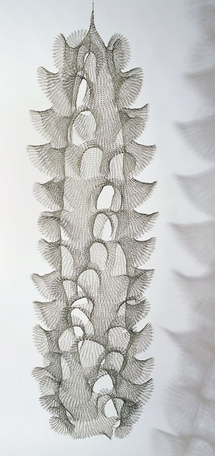 Sculpture - Ruth Asawa Constructed Textiles, Ruth Asawa, Henn Kim, Insect Wings, Josef Albers, Wire Sculpture, Organic Form, Sculpture Installation, The Shadow