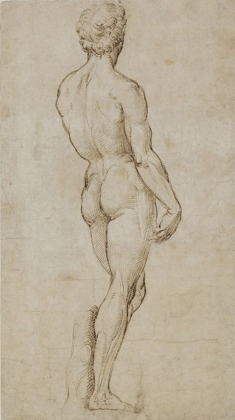 Raphael: The Drawings | Christie's Master Drawings, Male Figure Drawing, William Ellis, Academic Drawing, Master Drawing, Drawing Examples, Human Figure Drawing, Human Anatomy Art, Figure Drawings