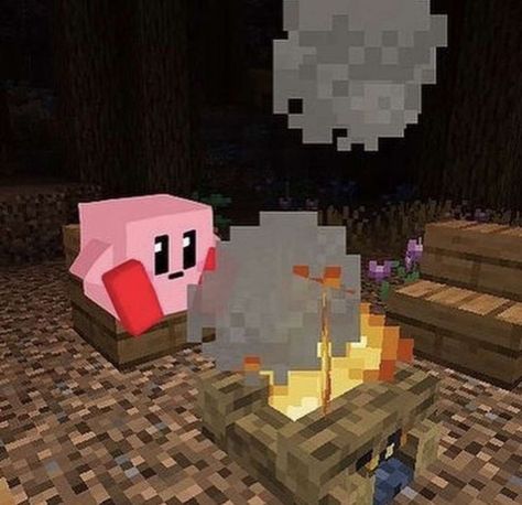 Kirby, Minecraft, Instagram Photos, Animals, Instagram