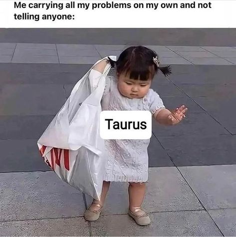 38 Taurus, Taurus Journal, Taurus Funny, New Moon In Taurus, Taurus Zodiac Quotes, Moon In Taurus, Taurus Memes, Taurus Traits, Taurus Zodiac Facts