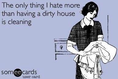 "Hate cleaning more than a dirty house" quote via www.SomeEcards.com Laundry Meme, Housekeeping Quotes, Clean House Quotes, Cleaning Humor, Cleaning Quotes Funny, Memes Dirty, Cleaning Schedules, Funny Boyfriend Memes, Cleaning Quotes