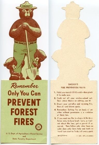 Smokey Forest, Bear Bookmark, Fire Prevention Week, Thrift Ideas, Smokey The Bear, Bear Ideas, Smokey Bear, Sticker Inspiration, Youth Hostel