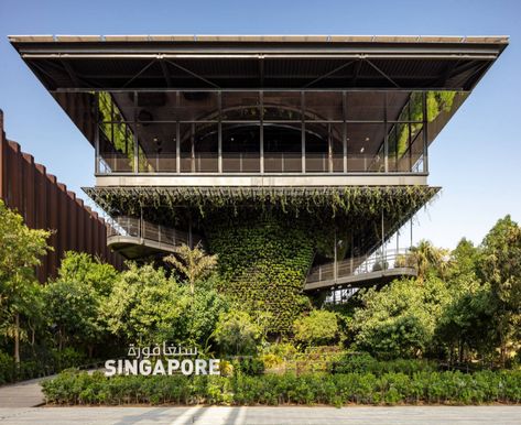 Republic of Singapore Self-Built Pavilion | WOHA | Media - Photos and Videos - 2 | Archello World Expo 2020, Expo Dubai, Expo 2020 Dubai, Pavilion Design, Desert Environment, Shenyang, Expo 2020, Desert Oasis, Design Strategy