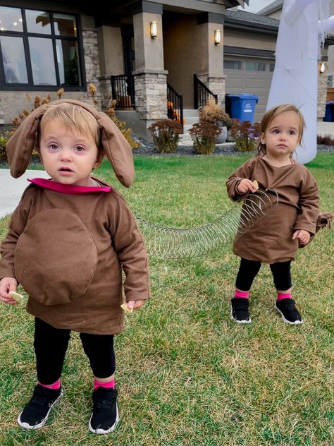 Slinky dog costume. Twin costume. Slinky Dog Costume, Twin Costumes, Slinky Dog, Baby Photo Shoot, Dog Costume, Baby Photo, Photo Shoot, Twins, Halloween Costumes