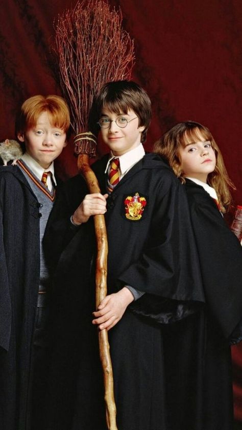 Harry Potter Costumes, Brooms, A Photo, Harry Potter