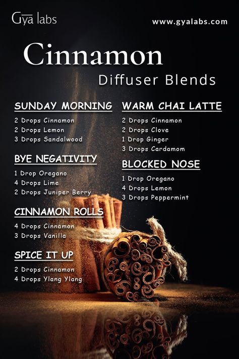 A bottle of Cinnamon essential oil blend surrounded by cinnamon sticks and a diffuser, with the text "Cinnamon Essential Oil Blend for Warmth and Invigorating Aromatherapy" written in a stylish font. Oil For Lips, Essential Oil Combos, Essential Oil For Skin, Essential Oil Spray Recipes, Cinnamon Bark Essential Oil, Essential Oil Perfumes Recipes, Body Candle, Essential Oil Combinations, Fragrance Oil Blends