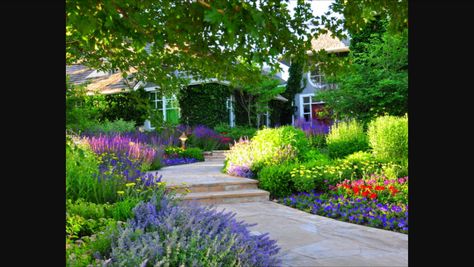 Gravel Landscaping, Stone Landscaping, Front Yard Design, Lavender Garden, Easy Landscaping, Large Backyard, Landscape Plans, Traditional Landscape, Front Yard Garden