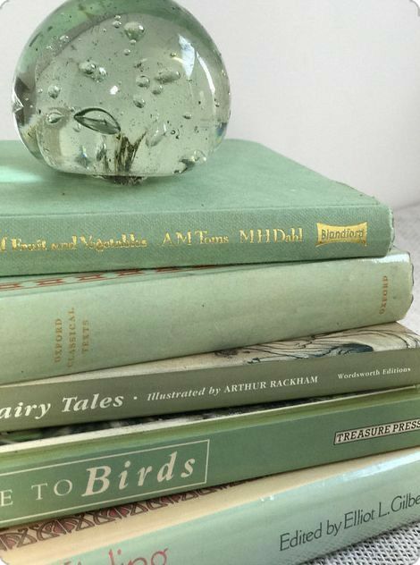 Green Aesthetic Books, Aesthetic Sage Green Wallpaper, Green Aesthetic Sage, Wallpaper Sage Green, Aesthetic Sage Green, Sage Green Aesthetic, Mint Green Aesthetic, Sage Green Wallpaper, Sage Green Walls