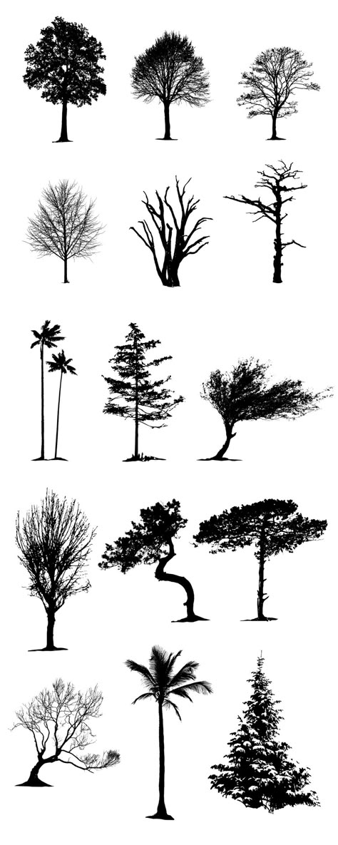 Tree Silloutes Simple, Tree Shadow Drawing, Line Art Tree, Tree Tattoo Color, Tree Graphic Design, Tree Silhouette Tattoo, Trees Drawing, Trees Silhouette, Ideas For Painting