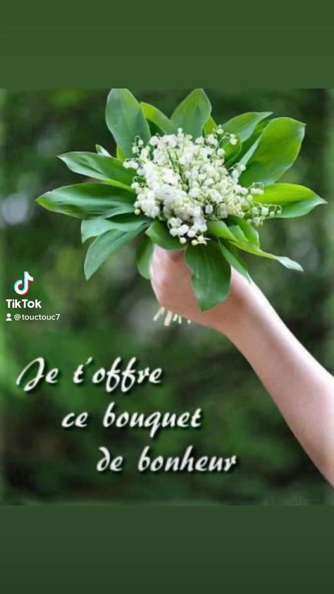 1 Er Mai Muguet, 1. Mai, Good Morning Happy Thursday, Lily Of The Valley Flowers, Orchid Flower, Lily Of The Valley, The Valley, Mother Earth, Geraniums