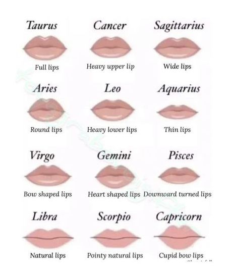 Types Of Lips Shape, Zodiac Sign Lips, Types Of Lips, Lip Tutorial Drawing, How To Draw Eyelashes, Makeup Names, Eyelashes Tutorial, Lip Types, Walpapers Cute