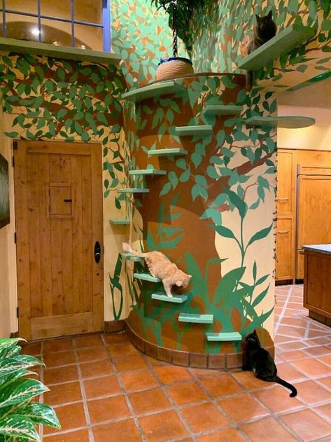 This Man Designs A Purrfect House For His 20-Plus Rescue Cats Cat Room Indoor, Indoor Cat Room Ideas, Cat Rooms Indoor, Cat Room Diy, Cat Room Ideas, Cat Rooms, Jungle Images, Cat Area, Cat Houses Indoor