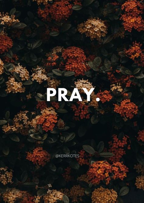 I Am Praying For You Quotes, Pray First Wallpaper, The Power Of Prayer Quotes, James 5:16, Pray Aesthetics, Praying Aesthetic, Aesthetic Prayer, Prayer Aesthetic, Pray For Others