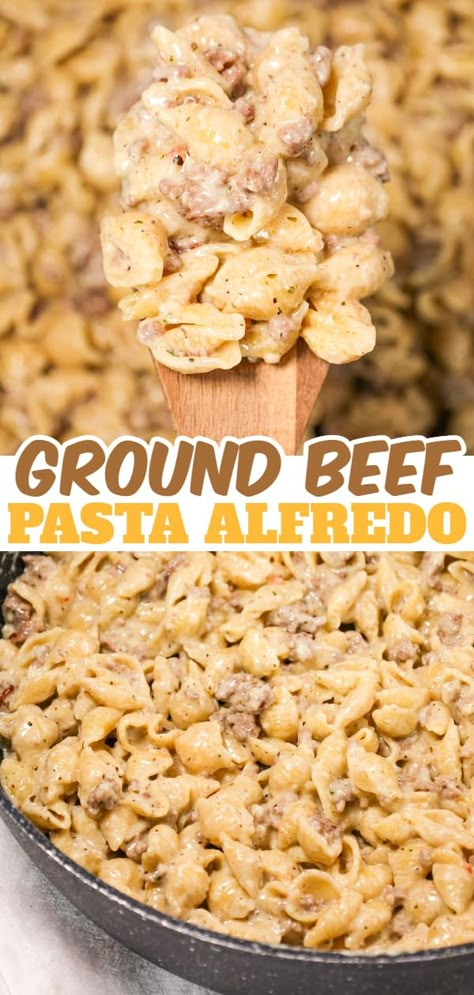 Ground Beef Alfredo, Beef Alfredo, Hamburger Pasta Recipes, Crockpot Recipes Chicken, Ground Beef Pasta Recipes, Creamy Garlic Pasta, Beef Pasta Recipes, Ground Beef Pasta, Creamy Pasta Recipes