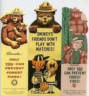 Smoky The Bear, 80 Cartoons, Smokey The Bear, Smokey Bear, Smokey The Bears, Retro Housewife, Fire Prevention, Camping Decor, 90s Cartoons