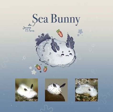 Unique Aquatic Animals, Sea Bunnies Drawing, Sea Bunny Aesthetic, Sea Bunny Art, Sea Bunny Drawing, Cute Sea Creatures Drawing, Sea Bunny Oc, Sea Creature Oc, Sea Creature Drawings