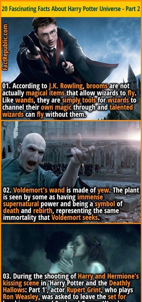 20 Fascinating Facts About the Mystical World of Harry Potter - Part 2 | Fact Republic Wizard With Wand, Harry Potter Part, Harry Potter Fun Facts, Harry Potter Theories, Wand Ideas, Fact Republic, Potter Head, Harry Potter Illustrations, Hp Harry Potter