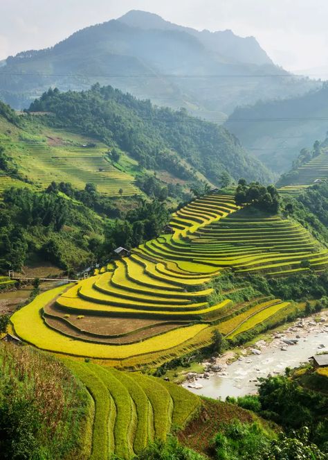 The Secret Vacation Spots Virtuoso Travel Advisors Love | Virtuoso Vietnam Itinerary, Vietnam Travel Guide, Vietnam Tours, North Vietnam, Rice Fields, Halong Bay, Southeast Asia Travel, China Travel, Vietnam Travel