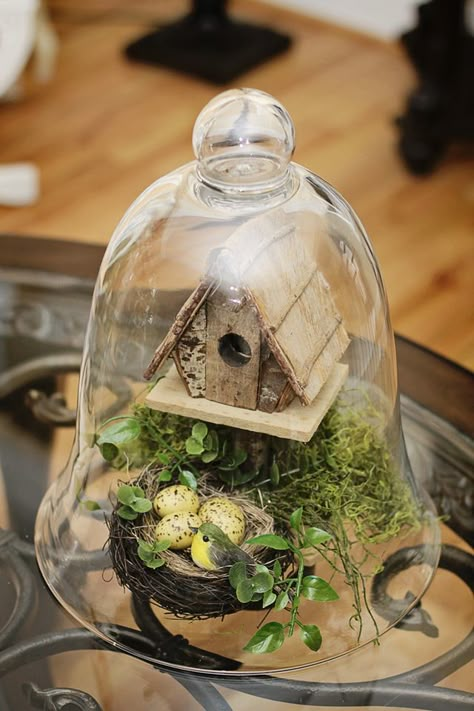 20130228Easter090DIY Craft And Decorating Ideas With A Glass Dome Cloche Easter Terrarium, Glass Cloche Decor, Cloche Decor, Glass Dome Cloche, Cloche Domes, Decoration Vitrine, Glass Cloche, The Bell Jar, Spring Easter Decor