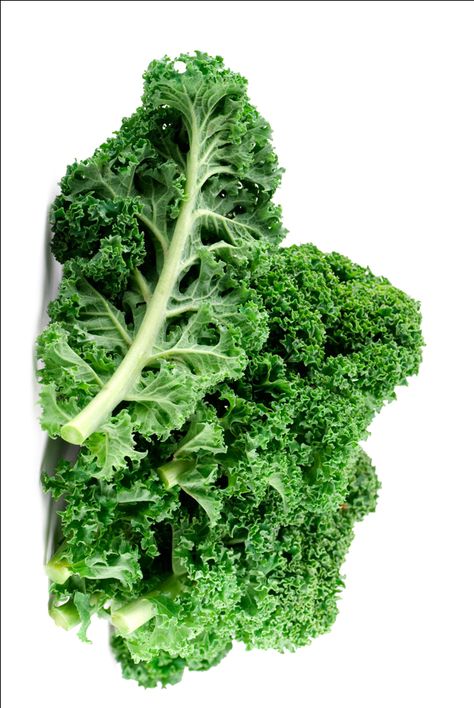 Kale Leaves Kale Leaves, Asian Food, Kale, Asian Recipes, Broccoli, Food To Make, Herbs, Stock Photos, Fruit