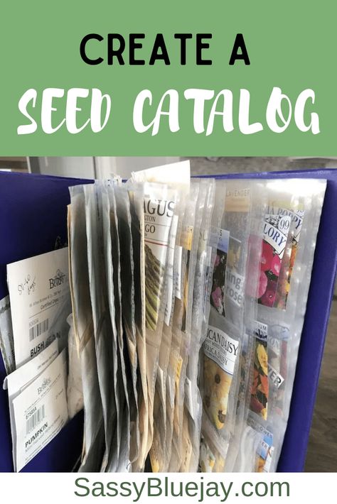 How To Store Seeds, Flower Tips, Seed Storage, Flower Fruit, Seed Catalogs, Seed Bank, Seed Saving, Garden Journal, Seed Packets