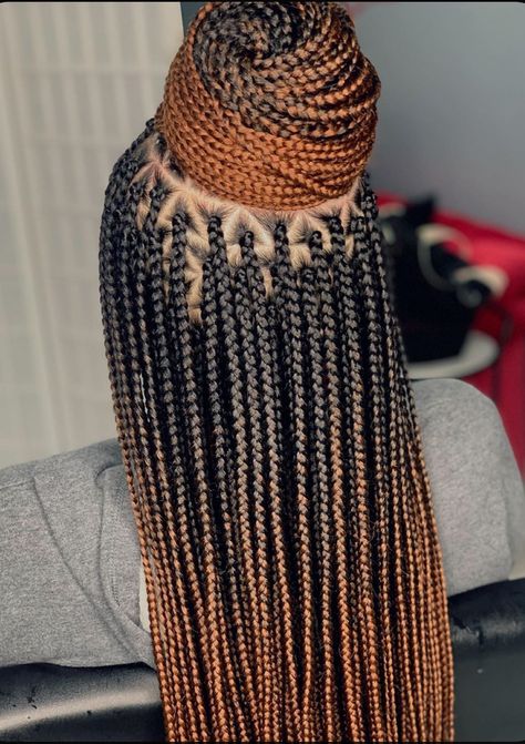 Black Brown Ombre Box Braids, Ombre Braids Black Women Two Tones, Ombre Twist Braids, Ombre Knotless Box Braids, Ombré Knotless Braids, Braids Color Ideas, Micro Senegalese Twist, Micro Twist Braids, Ombré Braids