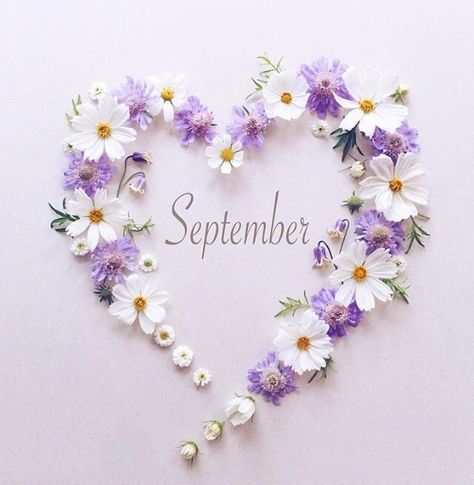 . September Images, Neuer Monat, September Wallpaper, Welcome September, Seasons Months, Happy March, Flower Words, Body Shop At Home, Hello September