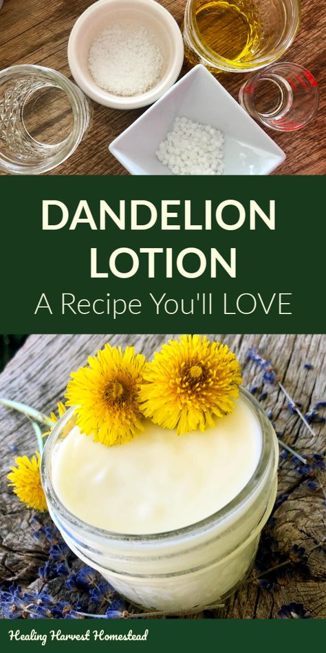 Dandelion Skincare Recipes, Dried Dandelion Flowers, Dandelion Lotion Bars, Dandelion Lotion Recipe, Dandelion Face Cream, Dandelion Oil Recipes, Dandelion Soap Recipe, Things To Make With Dandelions, Things To Do With Dandelions