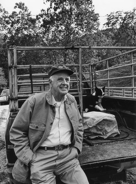 Going Home with Wendell Berry | The New Yorker Happy 85th Birthday, Deep Ecology, Wendell Berry, Southern Culture, 85th Birthday, Rural America, Port Royal, The Poet, The Writer