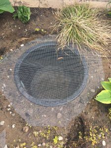 Diy Pondless Water Feature, Backyard Trellis, Pondless Water Features, Taman Diy, Fountain Ideas, Diy Water Feature, Backyard Ponds, Taman Air, Diy Water Fountain