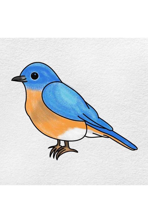 Simple Blue bird drawing Birds Simple Drawing, Picture Of Birds To Draw, Spring Birds Drawing, Beautiful Birds Drawing Colored Pencils, Bird Doodles Simple How To Draw, Simple Bird Sketch, Simple Birds Drawing, Drawings Of Birds Simple, Blue Bird Drawing Easy