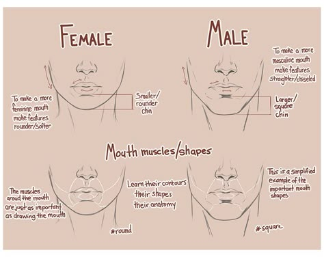 Face Proportions, Female Faces, Drawing Tutorial Face, Drawing Heads, Drawing Faces, Anatomy Drawing, Anatomy Art, Art Tutorials Drawing, Sketchbook Art Inspiration