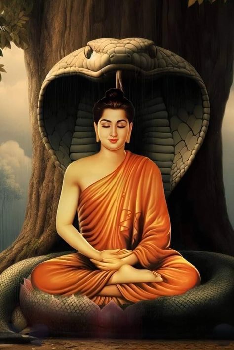 Gautam Buddha Hd Wallpaper, Budha Pics Image Hd, Gautam Buddha Image, Gautam Budha Hd Images, Buddha Background, Gautam Buddha Photos Hd, Lord Buddha Wallpapers, Gutam Budha Photo, Buddha Drawing