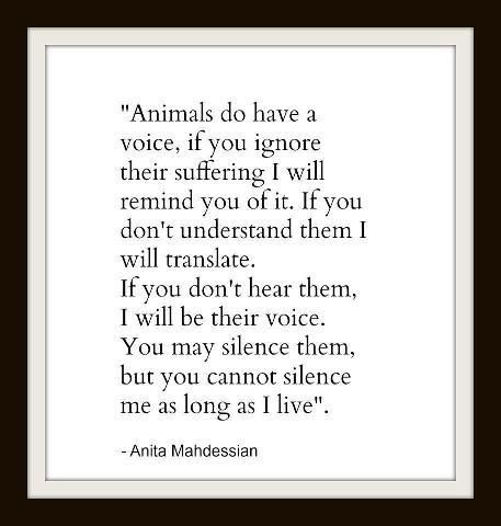 Animals do have a voice, if you ignore their suffering I will remind you of it… Peaceable Kingdom, Vegan Quotes, Animal Liberation, Stop Animal Cruelty, Conscious Living, Animal Advocacy, Vet Tech, Human Behavior, Amazing Animals