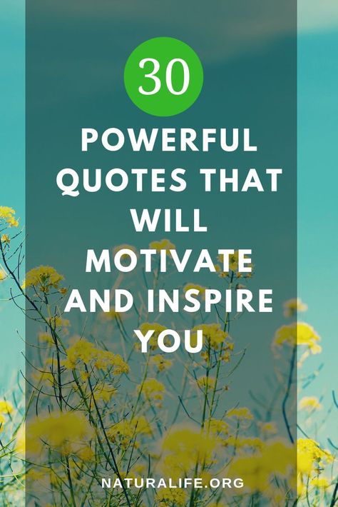 Get inspired by these motivational quotes to bright your day. #naturalife #motivationalquotes #selfcare #inspirationalquotes Romantic Sayings, Words To Inspire, Quotes Romantic, Nourish Your Soul, My Favorite Quotes, Good Quotes, Inspiration For Women, Broken Hearts, Natural Cough Remedies