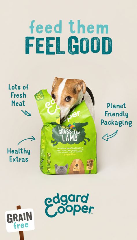 Dog Food Ad Campaign, Dog Food Marketing, Dog Food Advertisement, Dog Food Social Media, Pet Food Design, Dog Food Design, Dog Food Packaging Design, Dog Food Packaging, Dog Brands