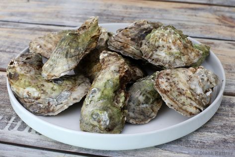 Charbroiled Oysters Recipe, Oysters Recipes, Charbroiled Oysters, Oyster Recipe, Scalloped Oysters, Metairie Louisiana, Best Oysters, Grilled Oysters, Oyster Recipes