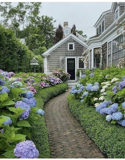 Hydrangea Landscaping, Growing Hydrangeas, Front Yard Garden Design, Hydrangea Garden, Home Landscaping, Front Yard Garden, Garden Pathway, House Landscape, Front Yard Landscaping Design