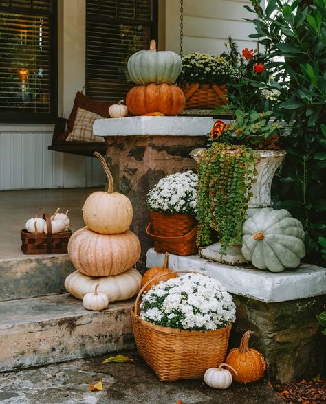 Pumpkins and mums in baskets on a front porch Pumpkin Porch, Apple Costume, Brick Steps, Porch Pumpkins, Shine The Light, Fall Cocktails, Fall Front Porch, Garden Store, Best Pumpkin