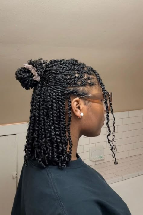 24 Protective Hairstyles For 4C Hair: Elevate Your Hair Game With These Stunning Looks Women’s Two Strand Twist, 4c Plait Hairstyles, Natural Hair Styles For Black Women Twists, Twist Hairstyles For Black Women Natural, Mini Spring Twists, Protective Hairstyles For 4c Hair, Hair Styles Natural Hair Black, Protected Hairstyles, Natural Twist Hairstyles For Black Women