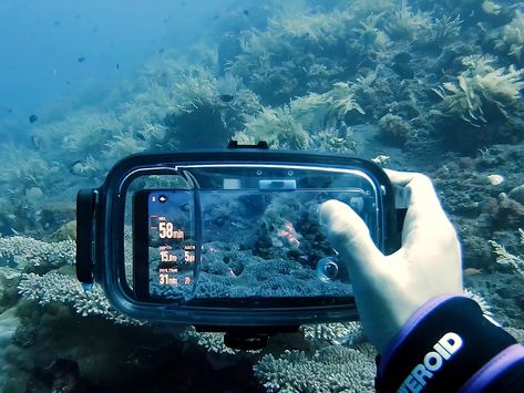 How To Take Underwater Photos With Phone, Sunnylife Underwater Camera, Waterproof Camera Underwater, Gopro Underwater, Free Diving Photography Underwater, Samsung Camera, Dive Computers, Best Dslr, Red Filter