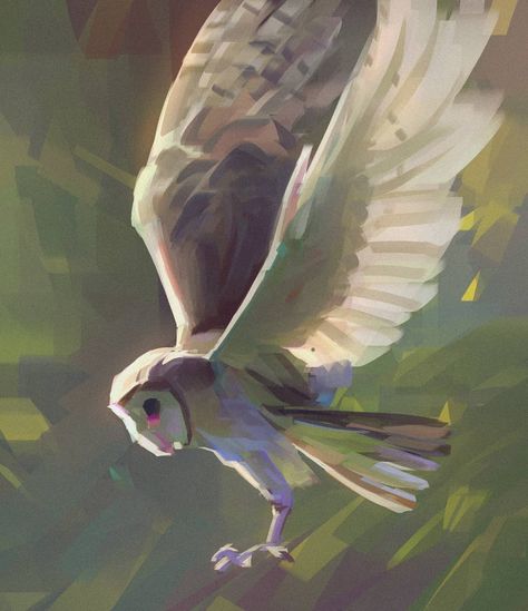 Wayne Tsay on Instagram: “Owl! #digitalart #painting #color #light #study #composition #owl #sketch #drawing #instaart #artistsoninstagram #instamood” Owl Sketch Drawing, Owl Digital Art, Flying Painting, Owl Flying, Owl Sketch, Owl Drawing, Light Study, Owl Painting, Sketch Drawing