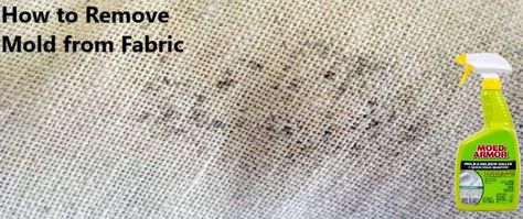 Get Mold Out Of Fabric, Get Mildew Out Of Fabric, How To Remove Mould From Fabric, Mold Remover Fabric, How To Get Mold Out Of Fabric, How To Remove Mold From Fabric, How To Remove Mildew From Fabric, How To Get Mold Out Of Clothes, Mold Out Of Clothes